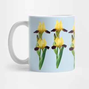 Bearded iris Mug